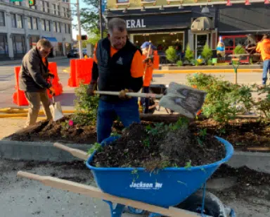 Planting Trees